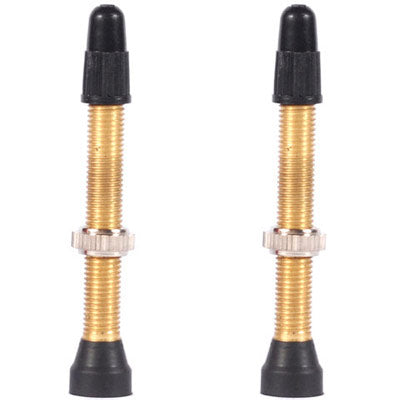 WTB TCS Tubeless 46mm Presta Valves