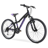 Fuji Dynamite 24 Comp - 2024