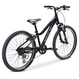 Fuji Dynamite 24 Comp - 2024