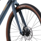 Diamondback Division 1 - 2022