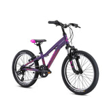 Fuji Dynamite 20 - 2024