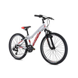 Fuji Dynamite 24 Sport - 2024