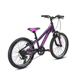 Fuji Dynamite 20 - 2024