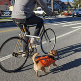 Moved by Bikes Dog Runner