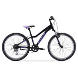 Fuji Dynamite 24 Comp - 2024