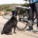 Moved by Bikes Dog Runner