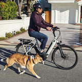 Moved by Bikes Dog Runner