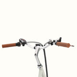 Retrospec Beaumont Rev Step Thru E-Bike