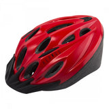 Aerius Heron Helmet